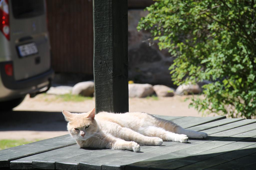 Vejavas Svētciems Esterno foto